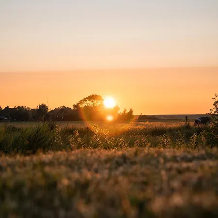 Апартаменты Bernstein *