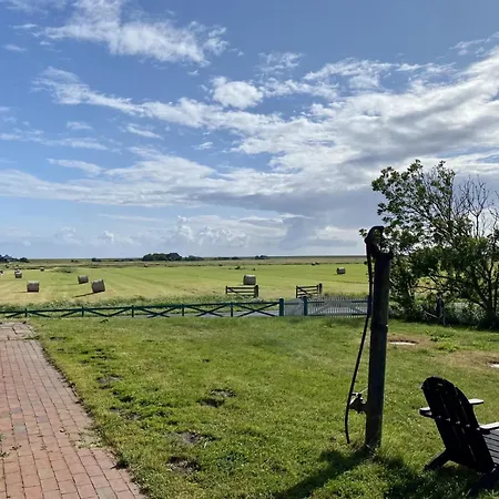 Bernstein Apartment Westerhever