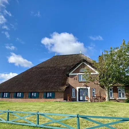 Bernstein Westerhever