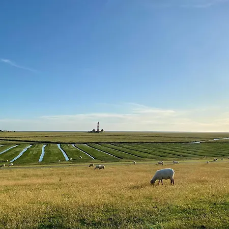 Knutzenswarft - Bernstein Westerhever